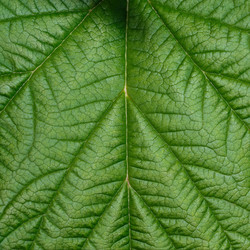 Similar image 21688938