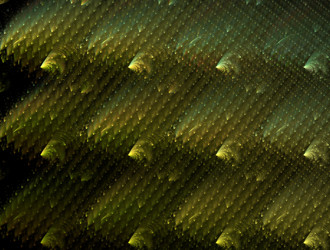 Similar image 21695607