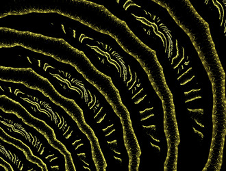 Similar image 21693150