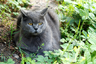 Similar image 21689431