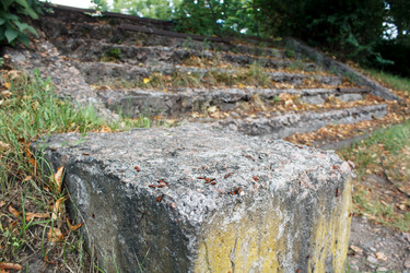 Similar image 21689432