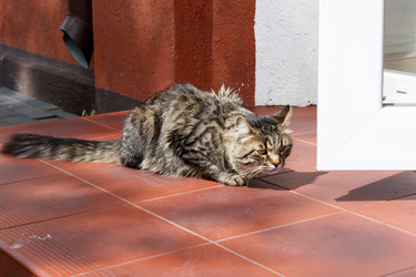 Similar image 21689433