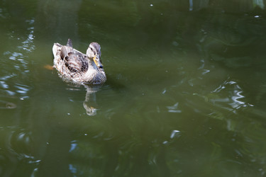 Similar image 21689439