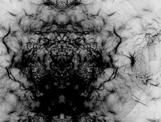 Similar image 21695410