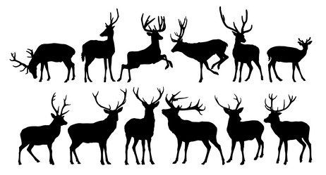 Similar image 21688953