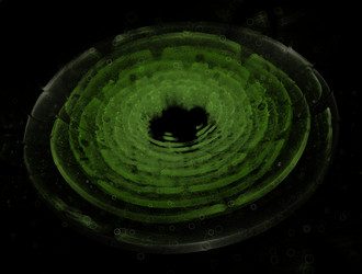 Similar image 21695640