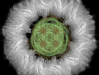 Similar image 21694338