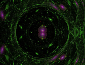 Similar image 21695262