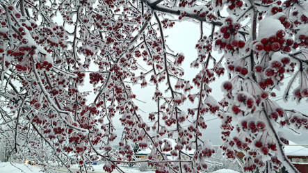 Similar image 21688965