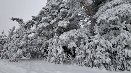 Similar image 21688966