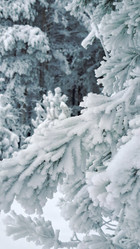 Similar image 21688968