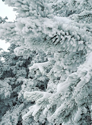 Similar image 21688969