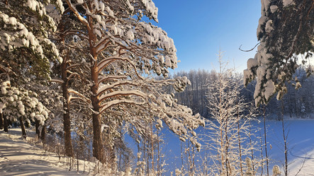 Similar image 21688970