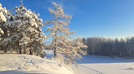 Similar image 21688971