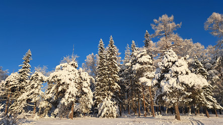 Similar image 21688972