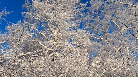 Similar image 21688973