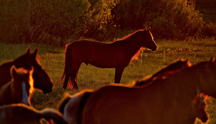 Similar image 21692029