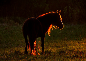 Similar image 21692032