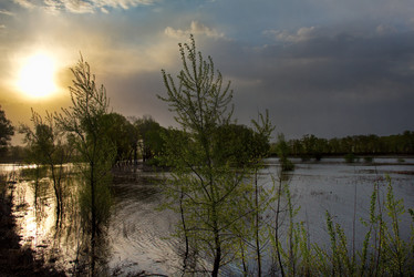 Similar image 21692033