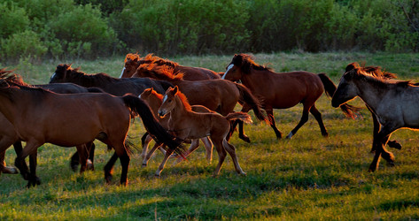 Similar image 21692034