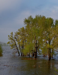 Similar image 21692037