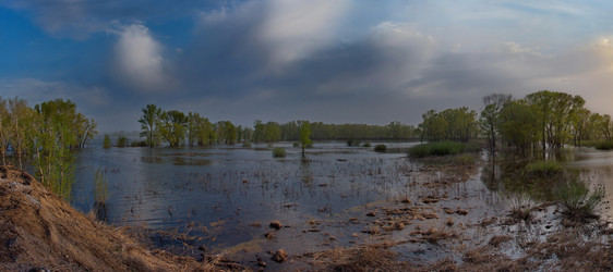 Similar image 21692045