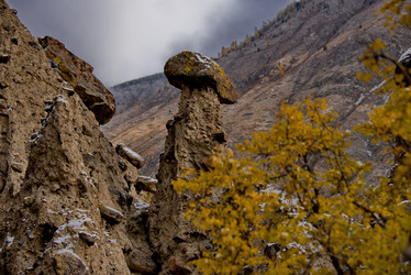 Similar image 21692048