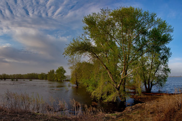 Similar image 21692050