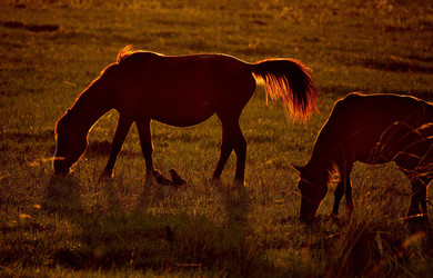 Similar image 21692051