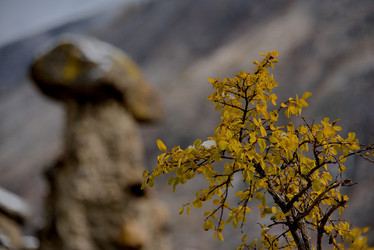 Similar image 21692054