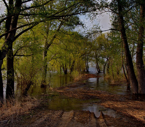 Similar image 21692058