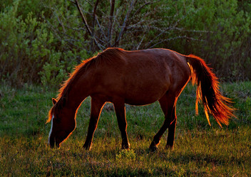 Similar image 21692059