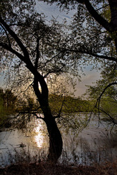 Similar image 21692061