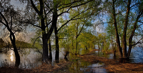 Similar image 21692063