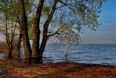 Similar image 21692065