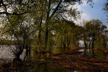 Similar image 21692067