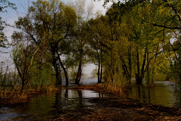 Similar image 21692140