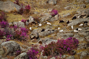 Similar image 21692143