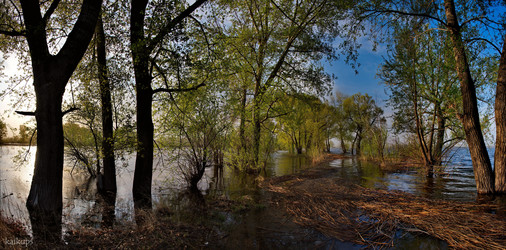 Similar image 21692144