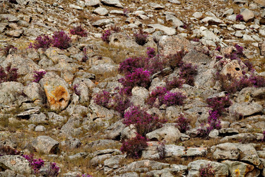 Similar image 21692145