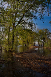 Similar image 21692146