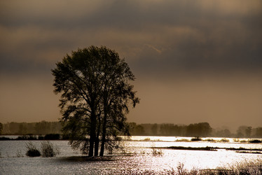 Similar image 21692148