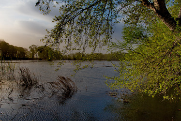 Similar image 21692149