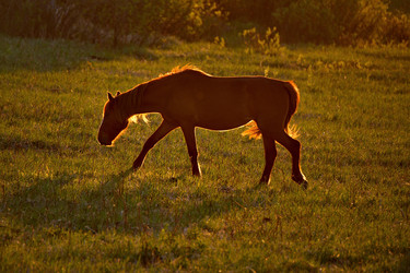 Similar image 21692152