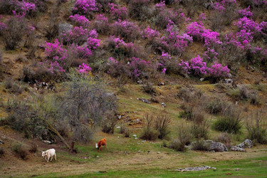 Similar image 21692153