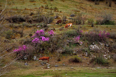 Similar image 21692154