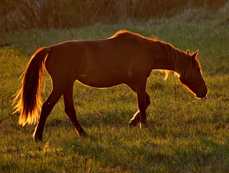 Similar image 21692155