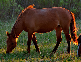 Similar image 21692156