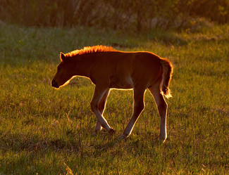 Similar image 21691855