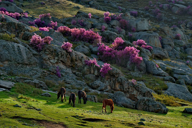 Similar image 21691856